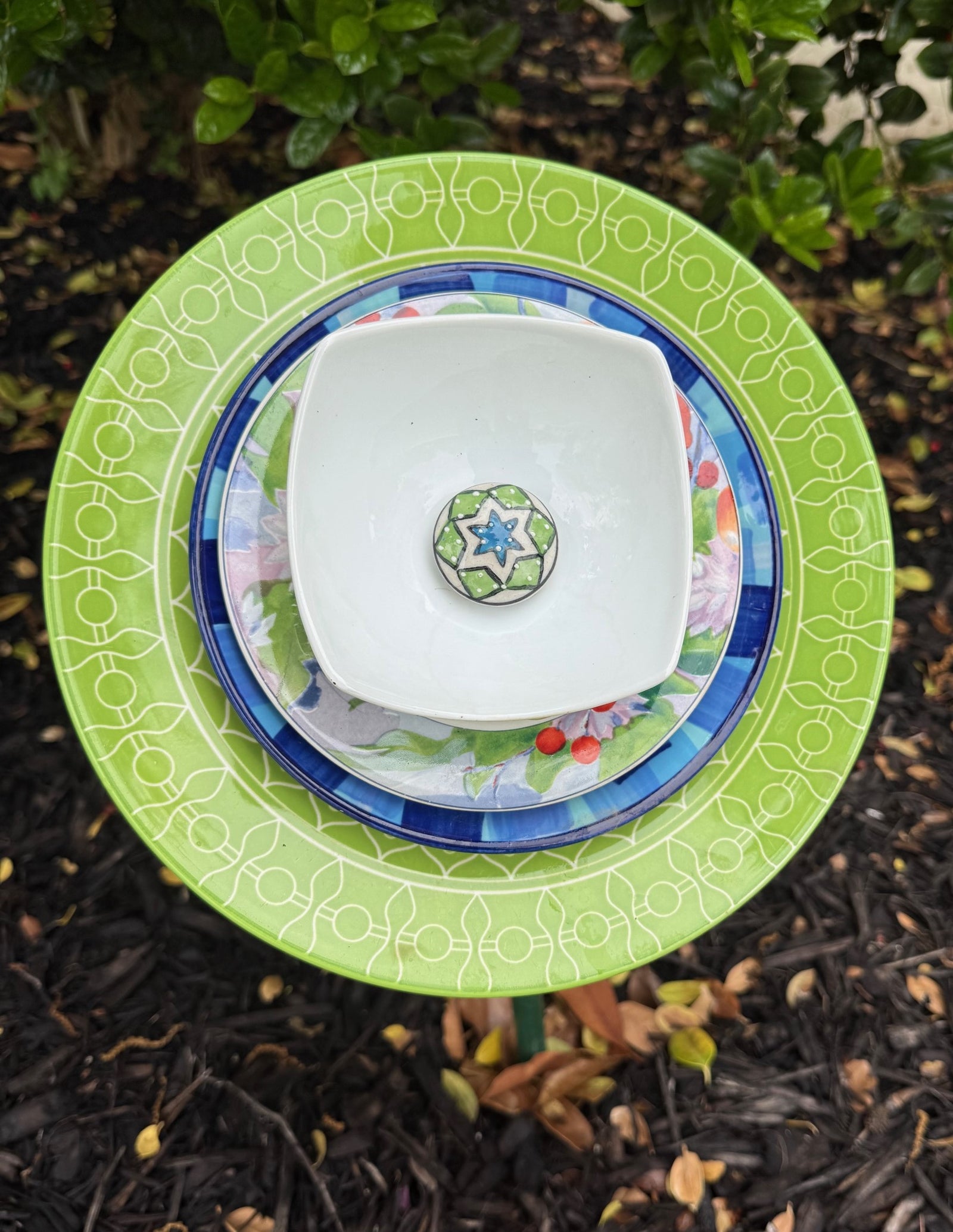 Lime & Blue Garden