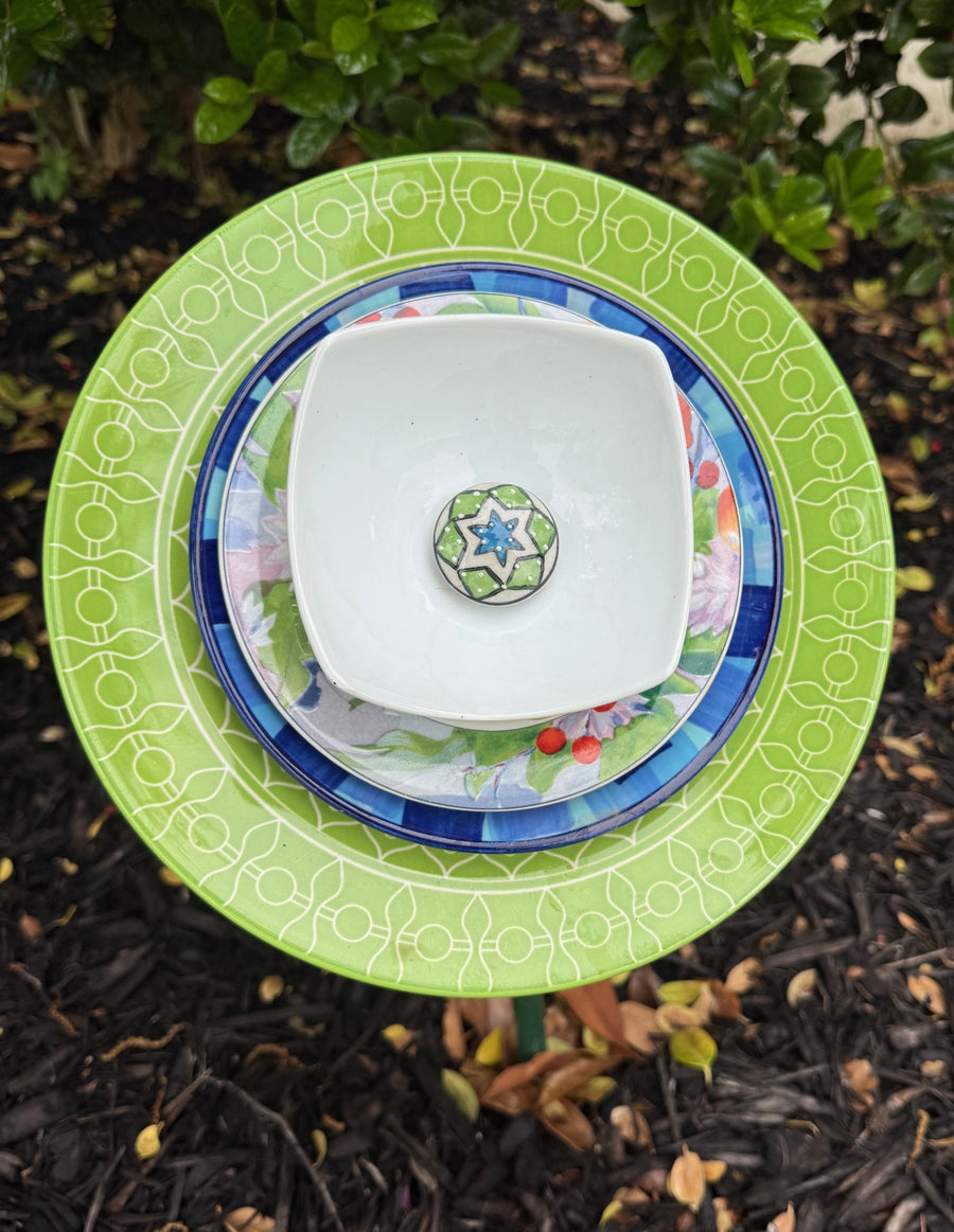 Lime & Blue Garden